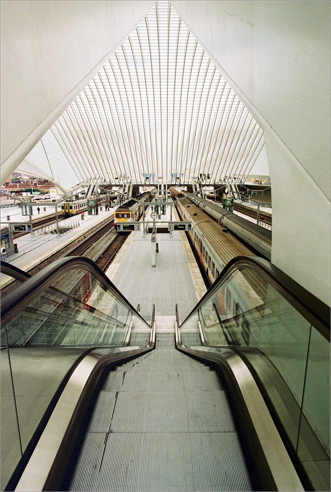 cR 005A