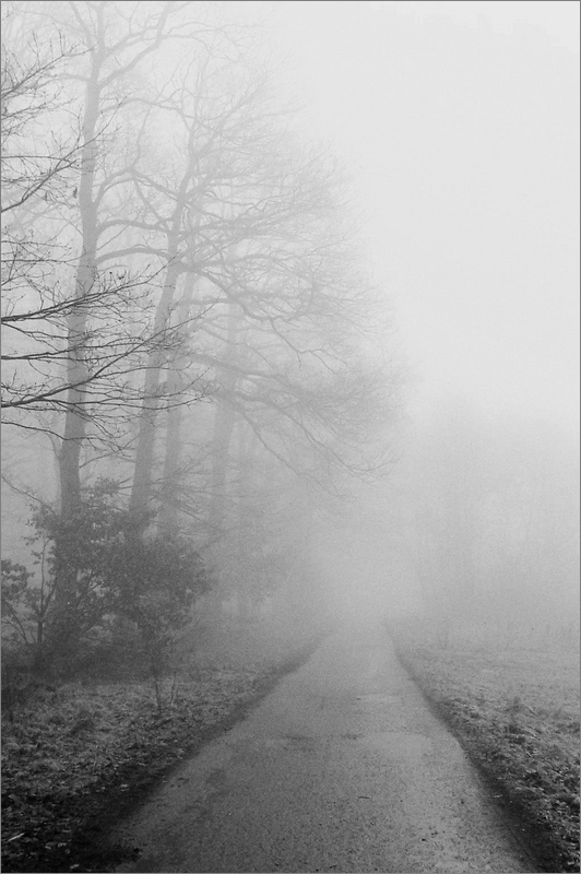 cR Frühnebel 21
