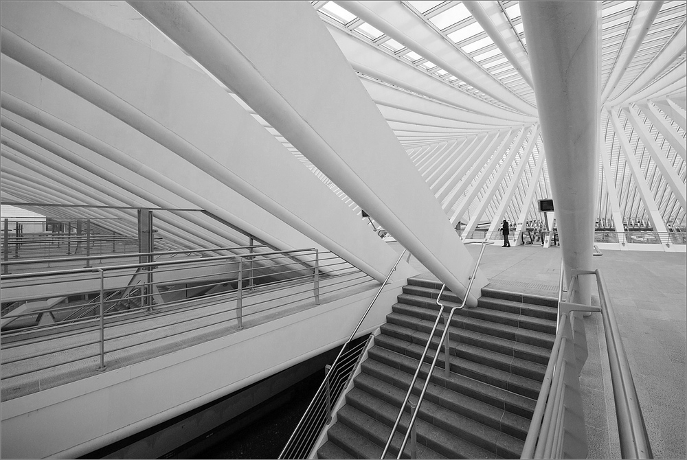 cR Guillemins 2 4282