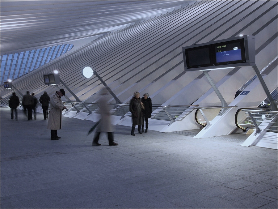 cR Guillemins b 2 O3251