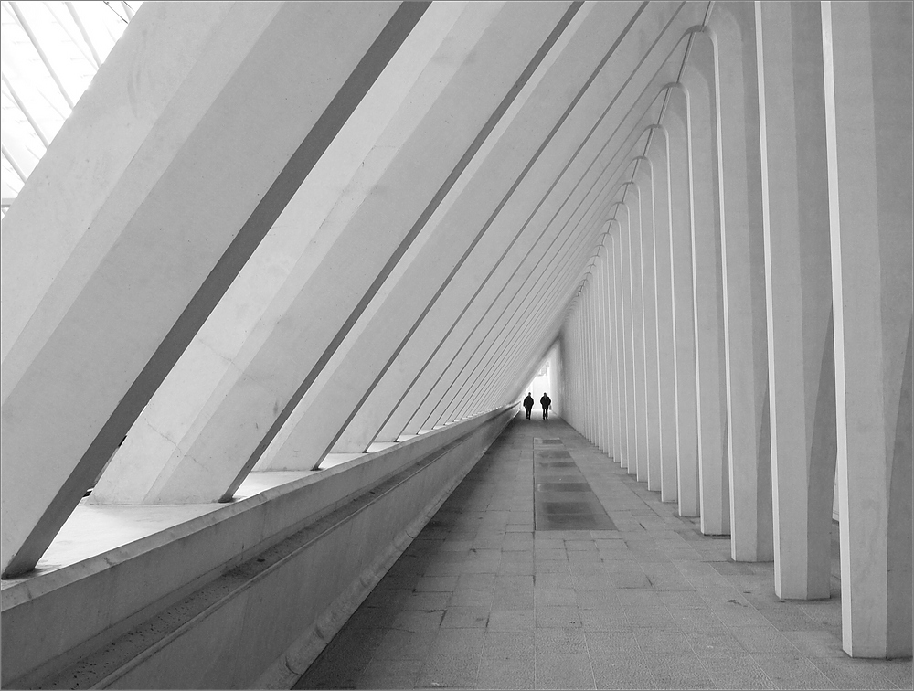 cR Guillemins O0061