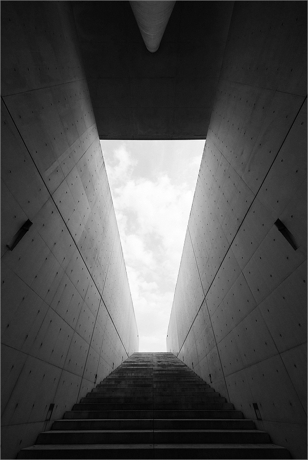 cR Langen Foundation 4900
