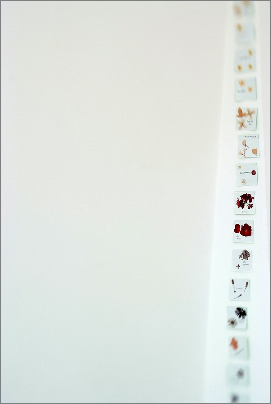 cR MZ Kunsthalle 6218