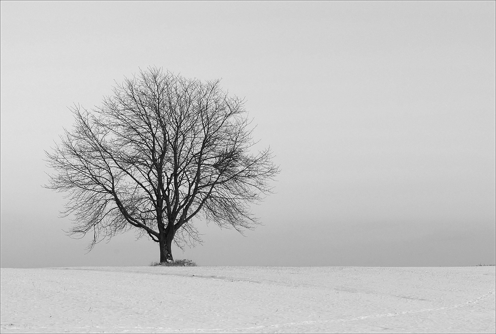 cR Schnee Stille 9942