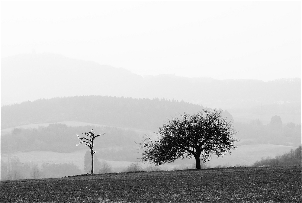 cR ungleiches Paar 4182