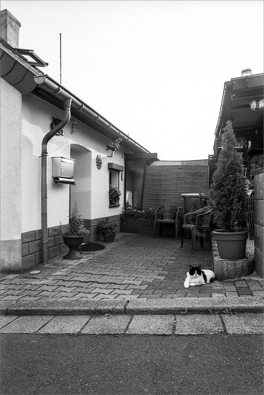 cR140805 025 1