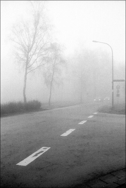 cR141203 016 1