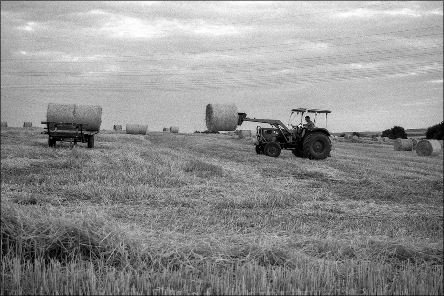 cR150729 029 1