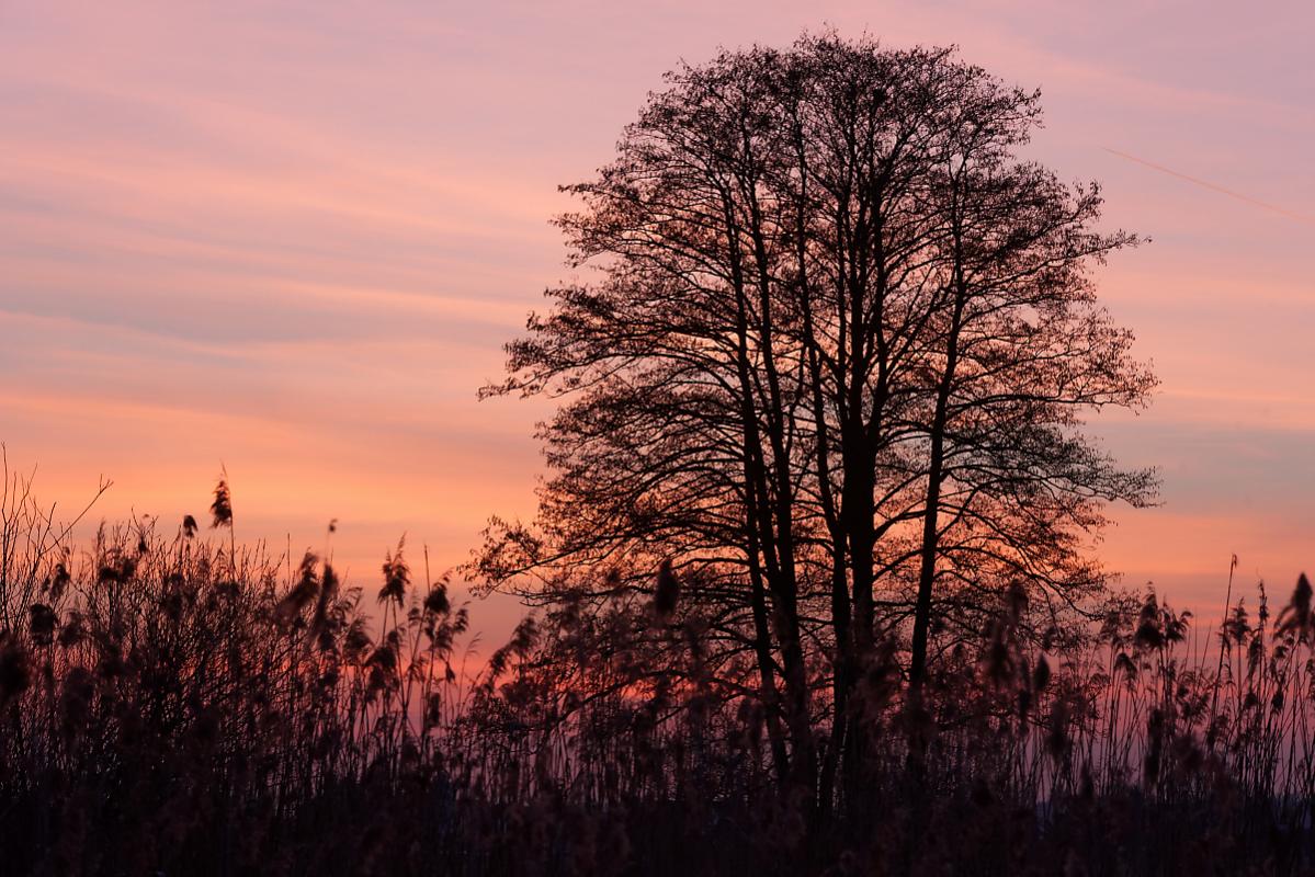 CR7 0986 009Röß Nikon D 750 DxO DxO Sonnenuntergang im Ampertal bei Kirchdorf BY