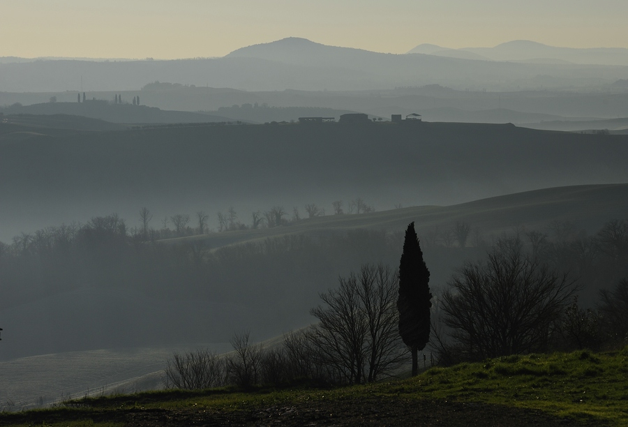 Crete Senesi 040