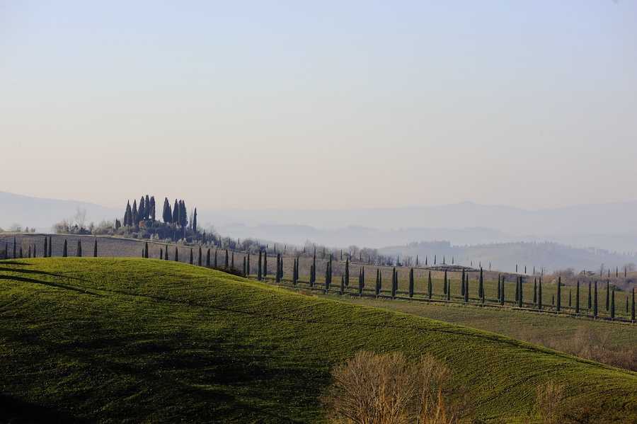 Crete Senesi 044