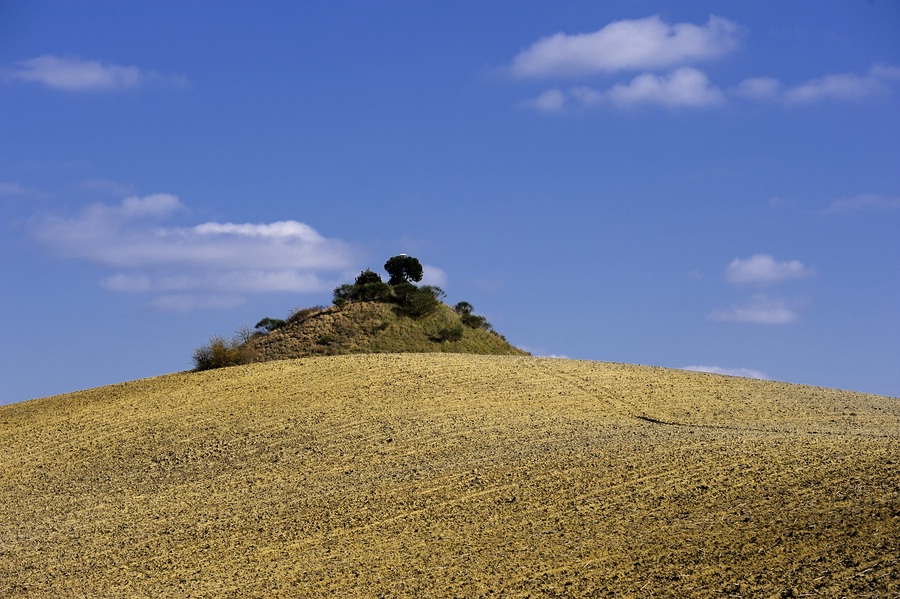 Crete Senesi 045