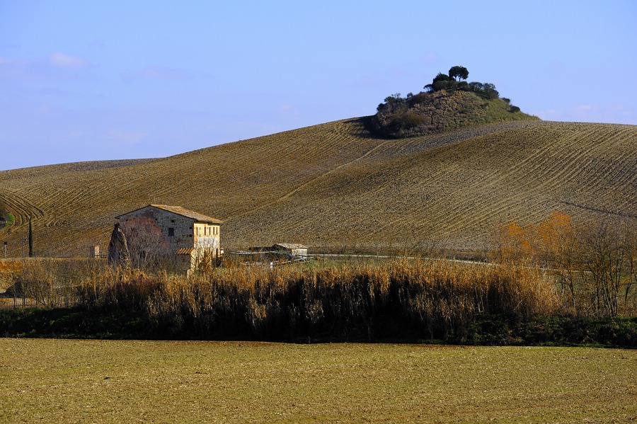 Crete Senesi 046