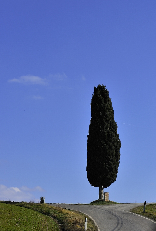 Crete Senesi 047
