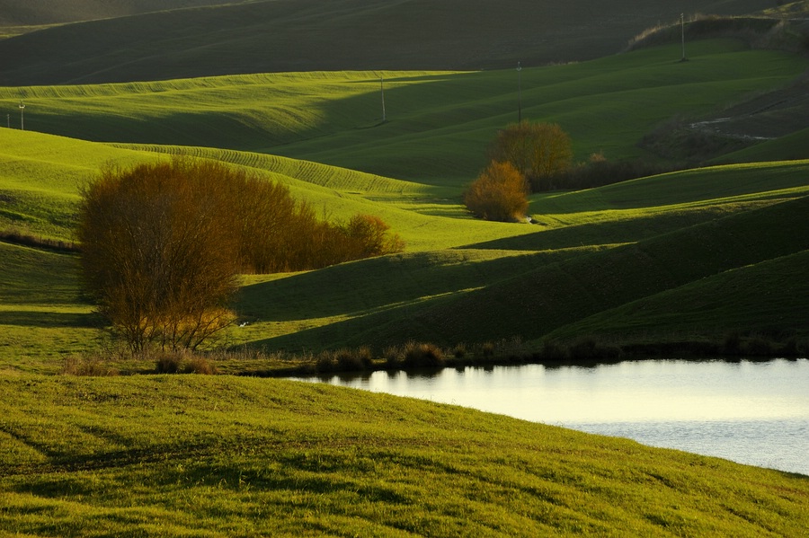 Crete Senesi #11