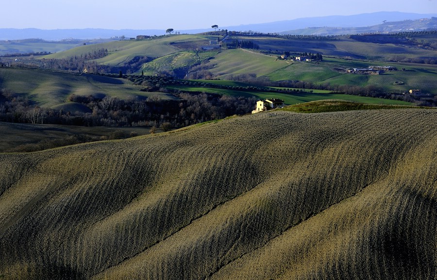 Crete Senesi #12