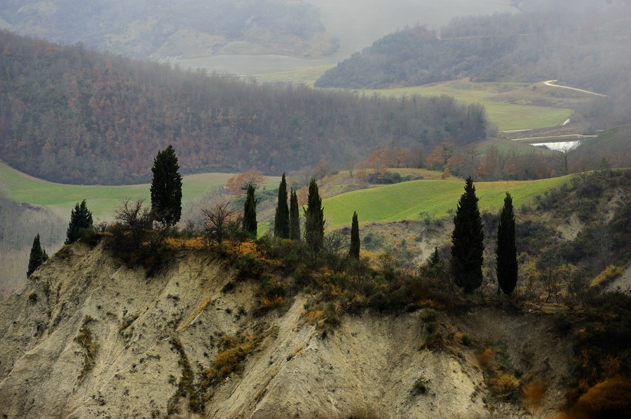 Crete Senesi #14