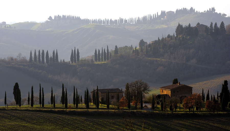 Crete Senesi #15