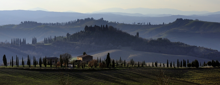 Crete Senesi #16