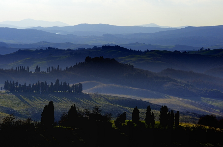 Crete Senesi #17