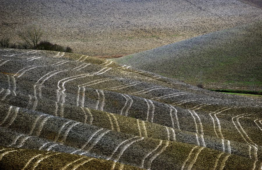 Crete Senesi #19