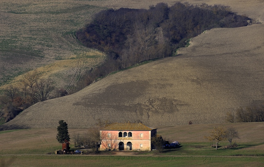 Crete Senesi #20