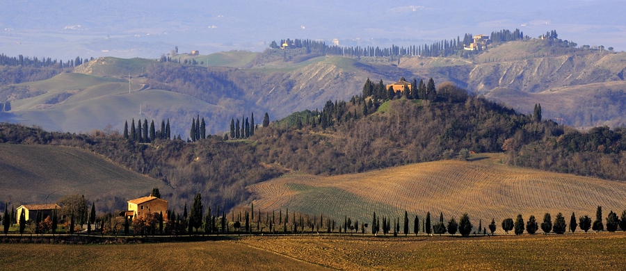 Crete Senesi #20