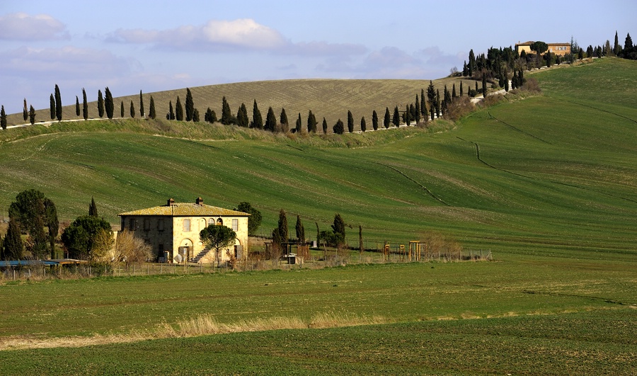 Crete Senesi #21