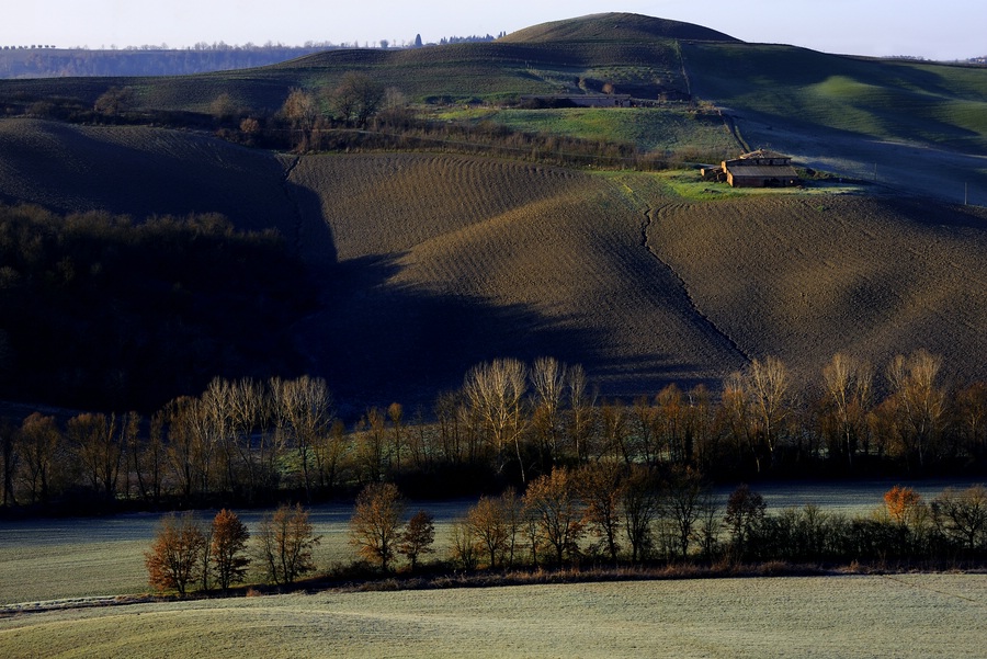 Crete Senesi #23