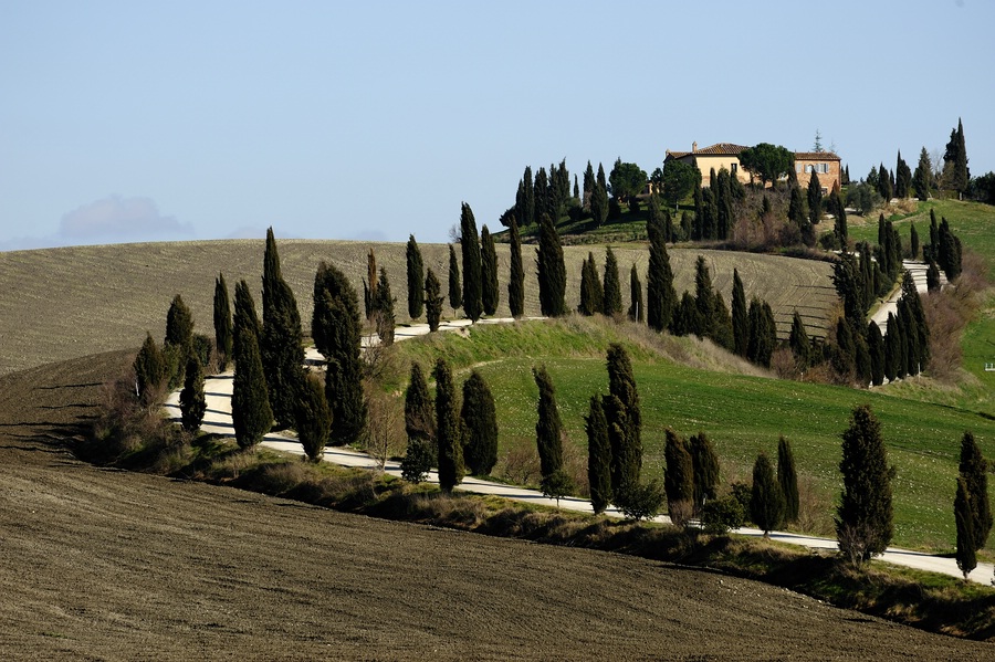 Crete Senesi #26