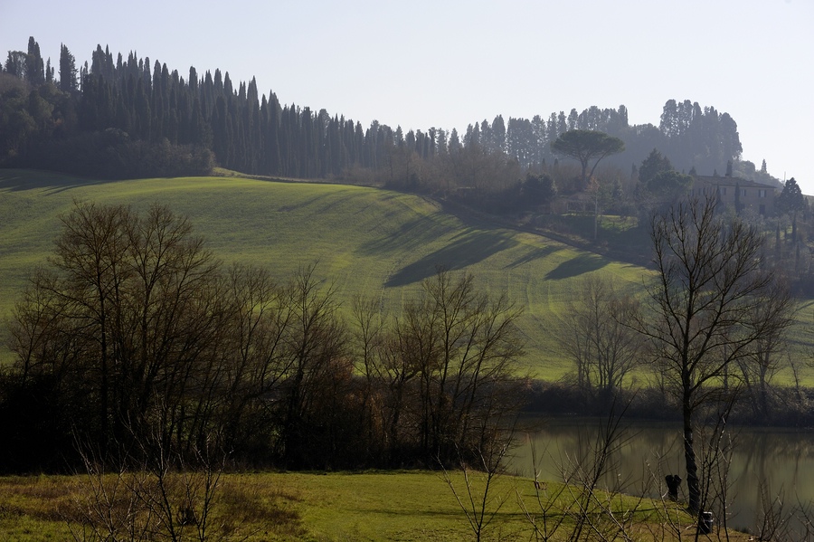 Crete Senesi #28