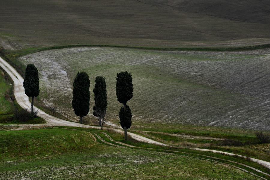 Crete Senesi #29