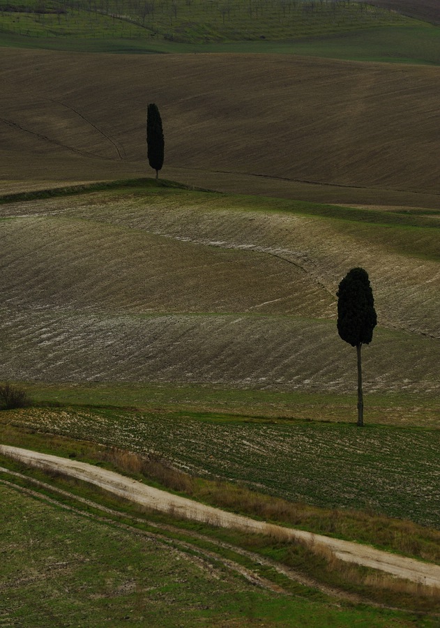 Crete Senesi #30