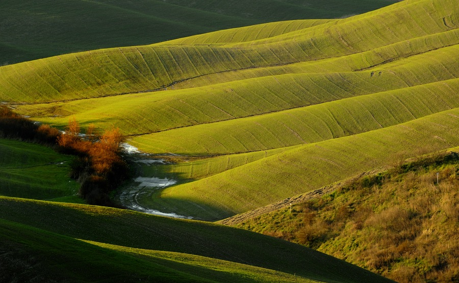 Crete Senesi #9