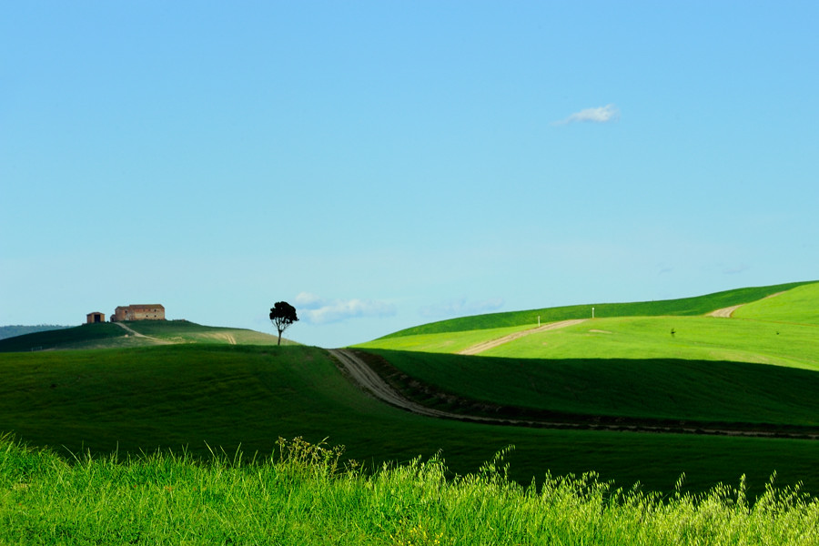 Crete Senesi