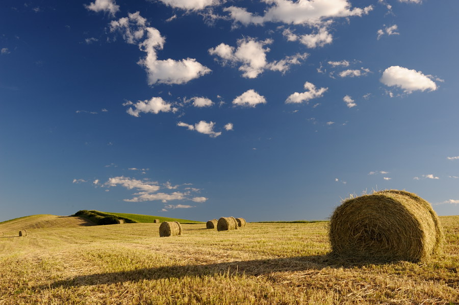 Crete Senesi