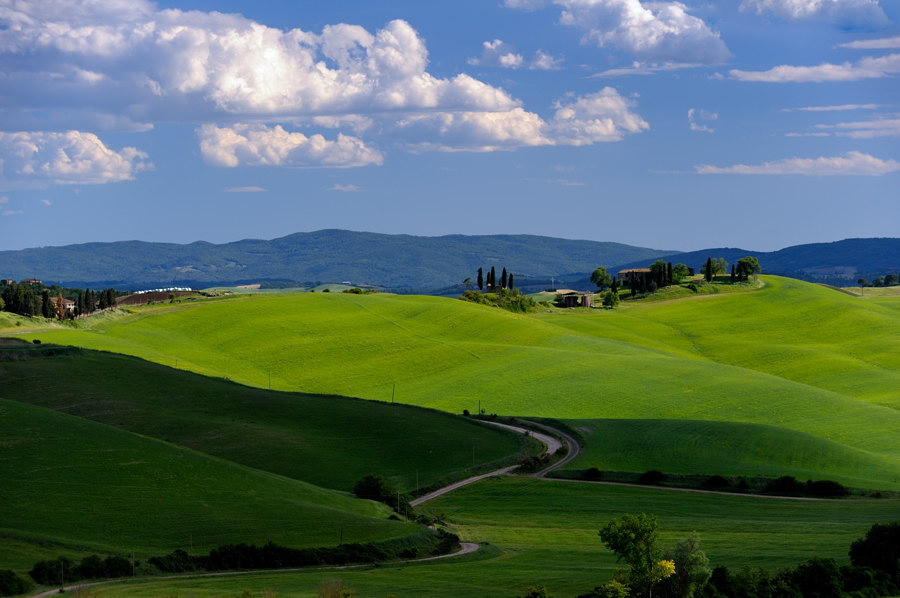 Crete Senesi