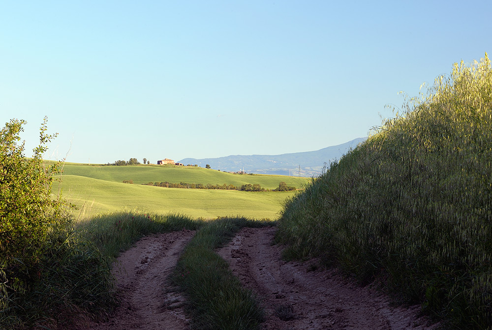 Crete Senesi