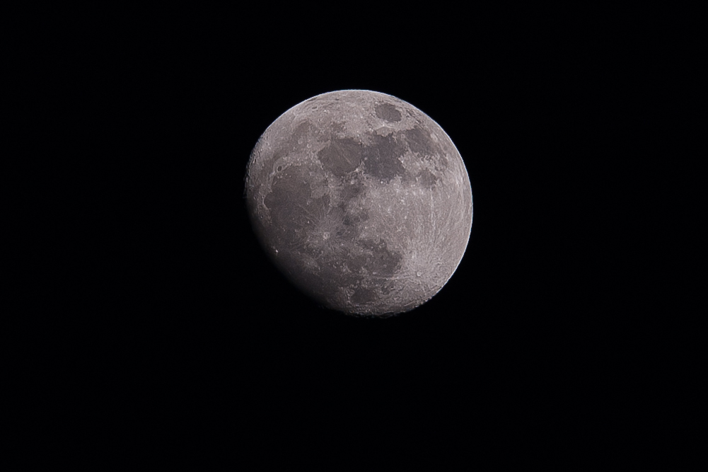 Crop aus D70s und 300mm f4 AF