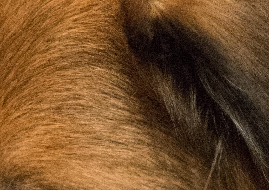 crop128