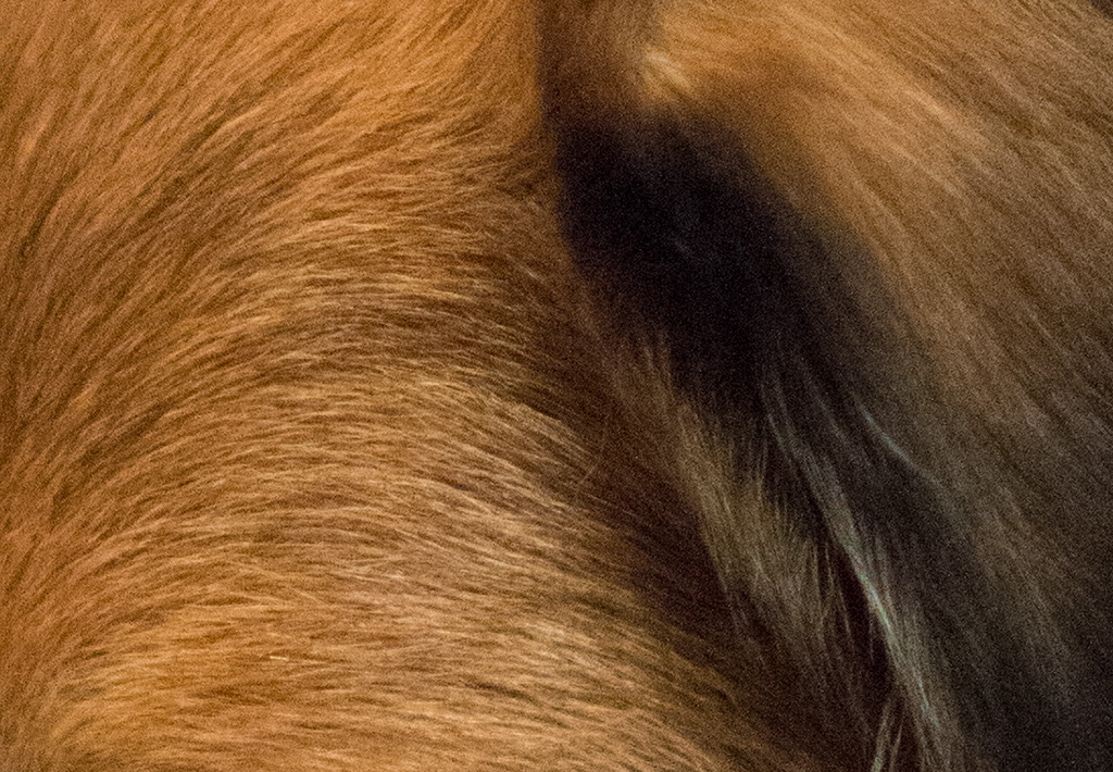 crop32+2LW