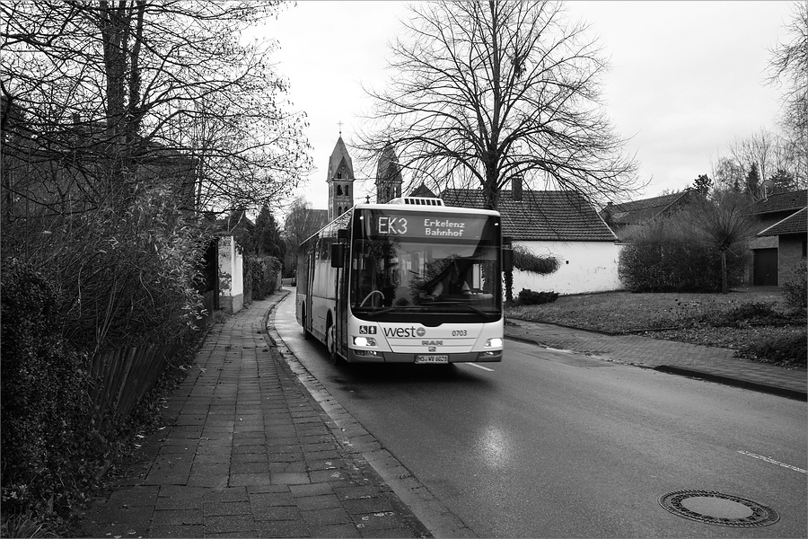 cRXE107781 1