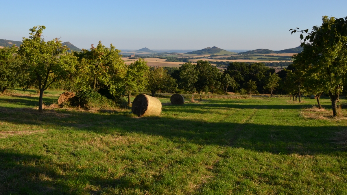 CSC_3561n.JPG