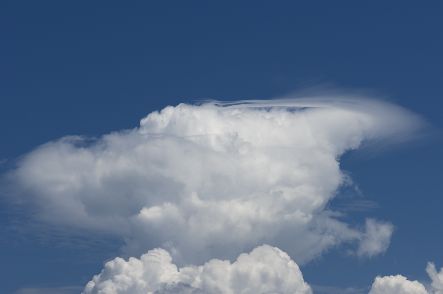 Cumulus wird vom Föhn zerzaust  04. Juli 2009 2