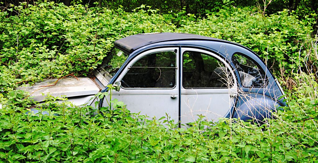 CV 4 Ente Langzeitparker