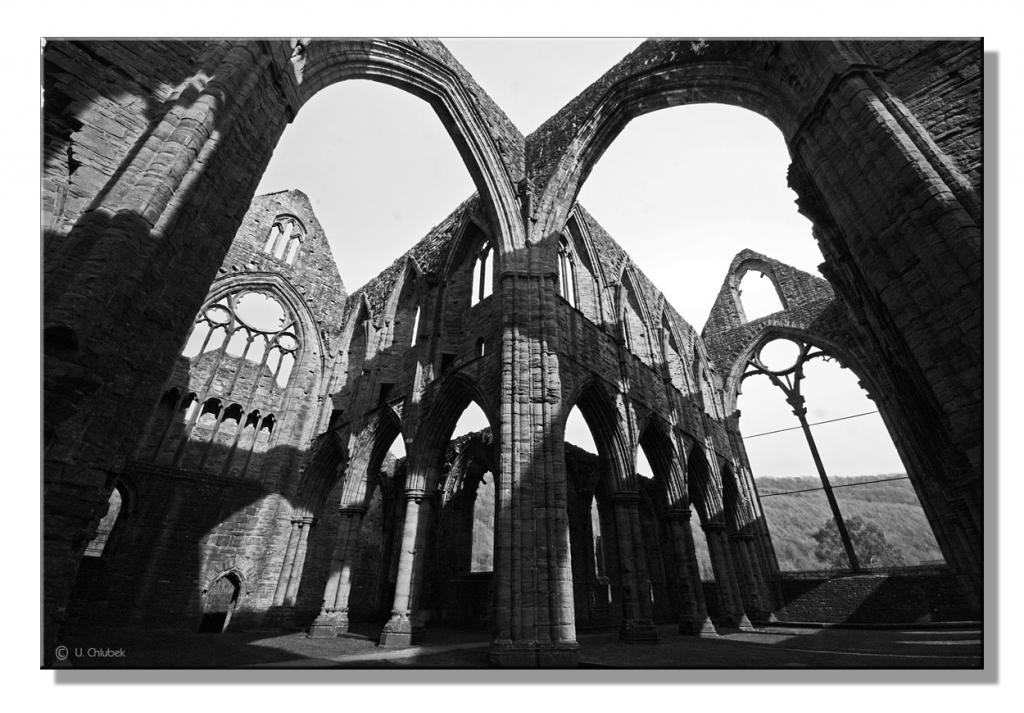 CWL tinern abbey