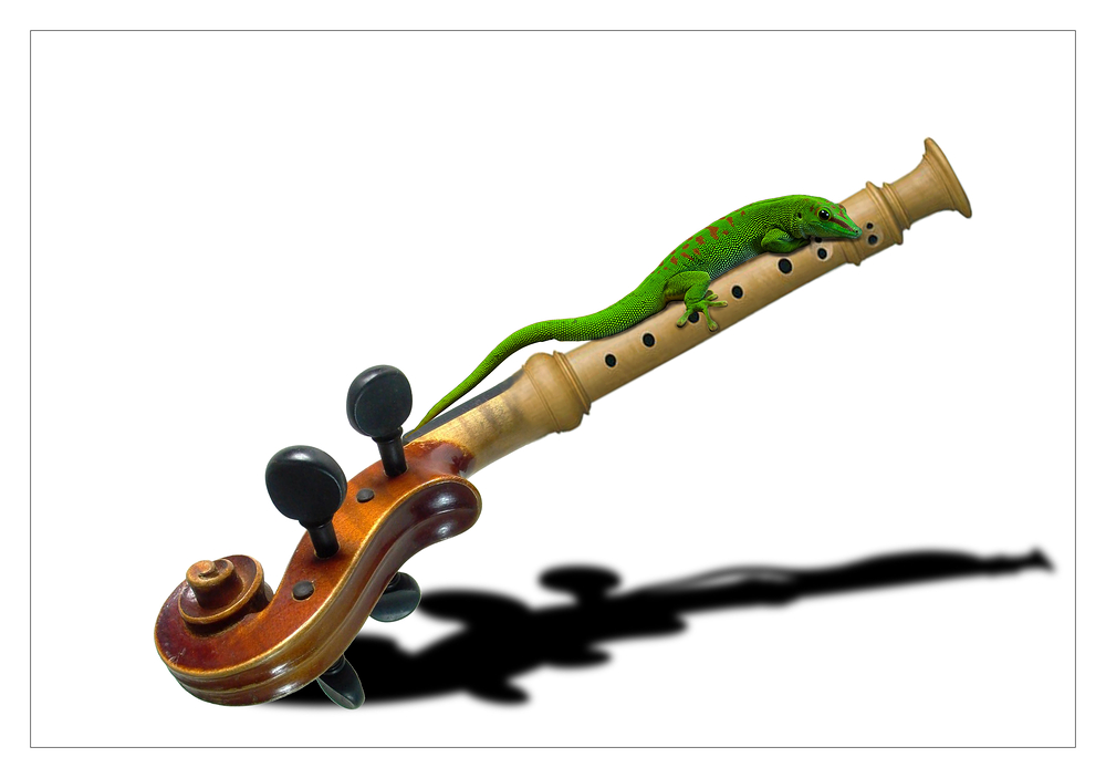 Dér Musikant