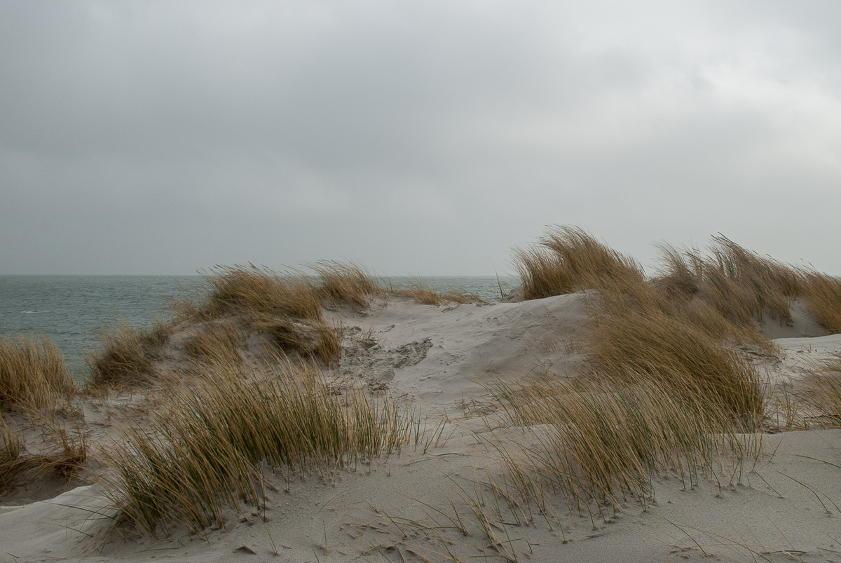 Düne Helgoland.jpg