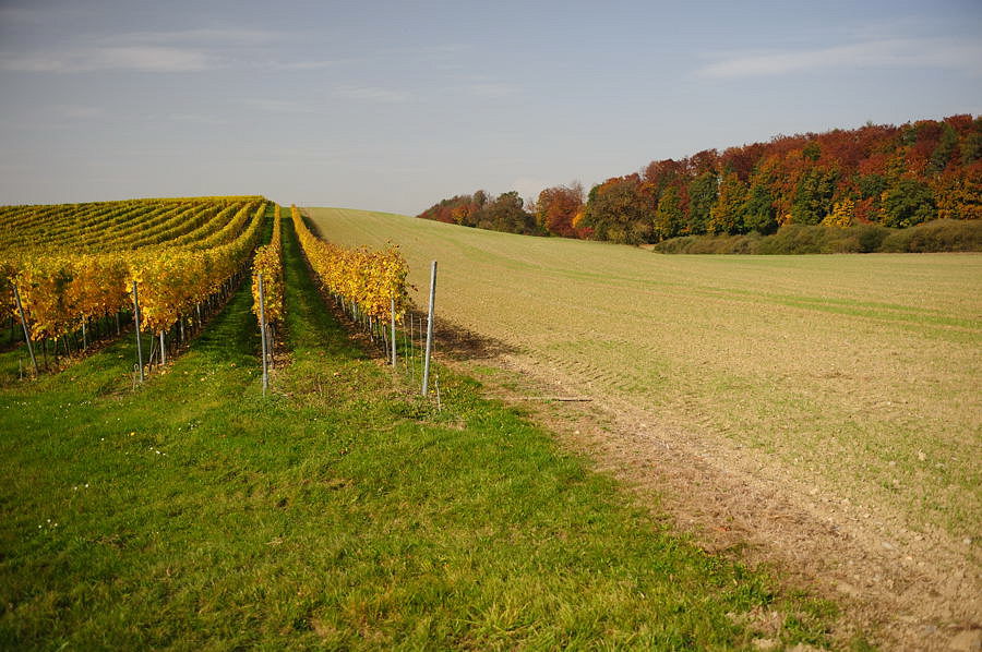 D03 2323