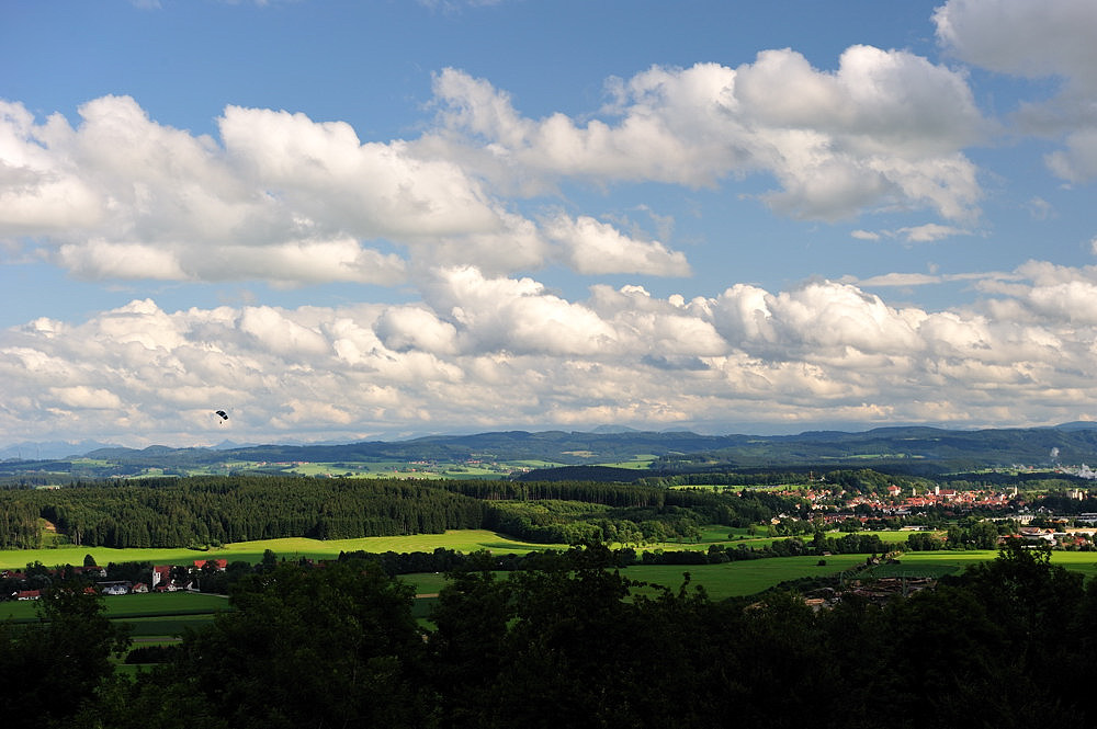 D03 3320